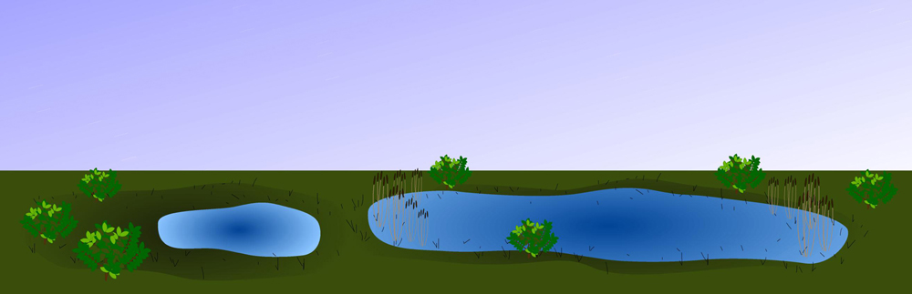 pond setting