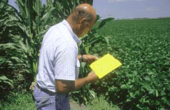 Prodducer counting captured beetles