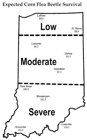 Expected Corn Flea Beetle Survival