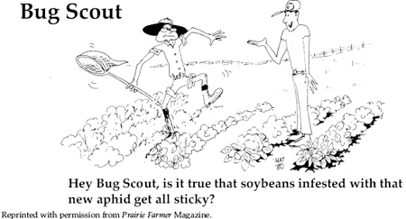 Bug Scout