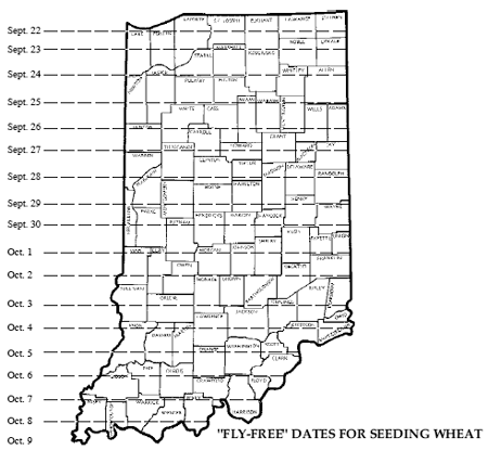 "Fly-Free" Dates for Seeding Wheat