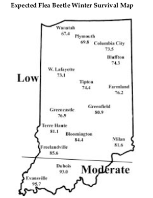 Expected Flea Beetle Winter Survival Map