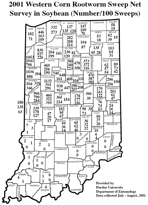 2001 Western Corn Rootworm Sweep net Survey in Soybean (Number/100 Sweeps)