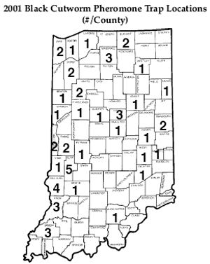 2001 Black Cutworm pheromone trap locations