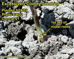 Excessively Cloddy Seedbed