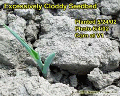 Excessively Cloddy Seedbed