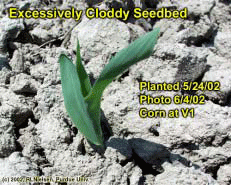 Excessively Cloddy Seedbed