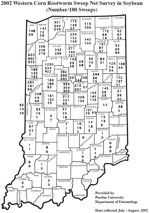 2002 Western Corn Rootworm sweep Net Survey in Soybean (Number/ 100 Sweeps)