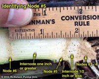 Identifying Node #5