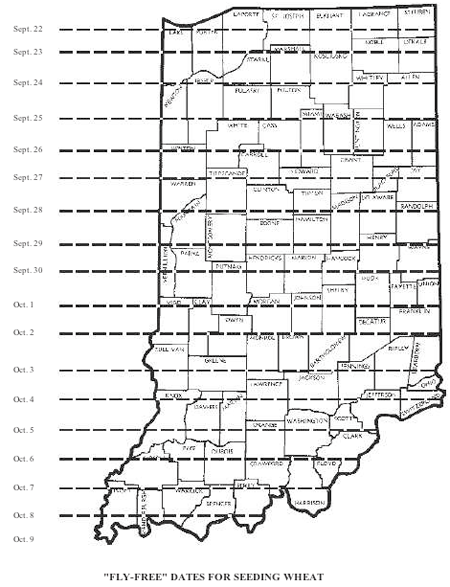 Fly Free Dates for Seeding Wheat