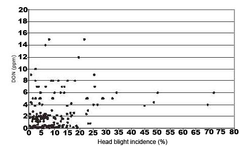 Relations between incidence of head blight in the field and concentration of DON in wheat grain