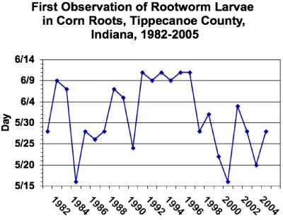 First Observation of Rootworm Larvae in Corn Roots. Tippecanoe County, Indiana, 1982-2005