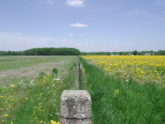 Figure 2. Fall applications of glyphosate were applied on the left field, the right field did not receive a fall application