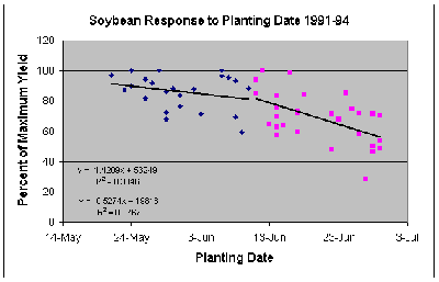 soybean planted