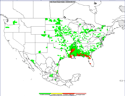 distribution of soybean rust in the U.S. as of 8/19/09