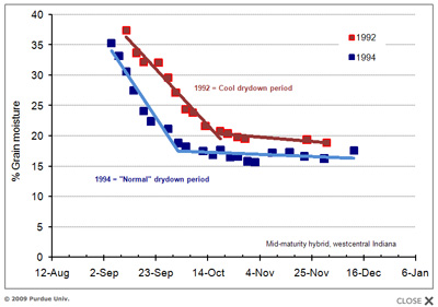 example of field drying progress of a mid-maturity corn hybrid in 2 year with different temperature patterns