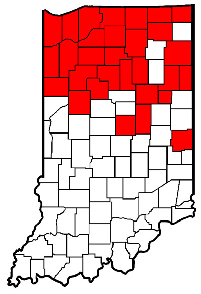 Western bean cutworm larval damage 2010