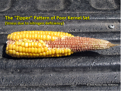 zipper pattern of poor kernel set