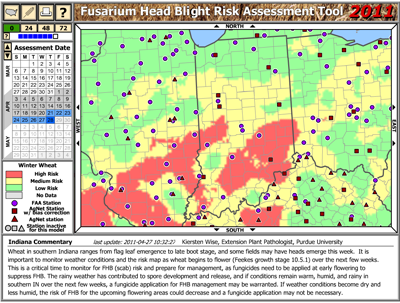 Figure 3. Indiana commentary and risk of fusarium head glight developent on the wheat scab risk model <http:www,wheatscab.psu.edu>