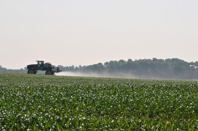 Foliar application