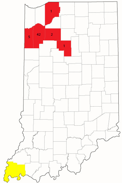 Map 1. Indiana map of counties with confirmed Palmer amaranth populations. Counties in red represent most recently confirmed populations with the numeral reprsenting the number of known locations per county. Yellow counties represent previously confirmed populations.