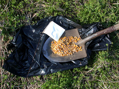 materials for a solar bait station