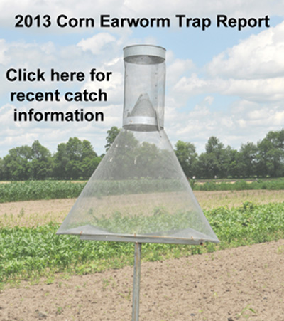 pheromone trap report