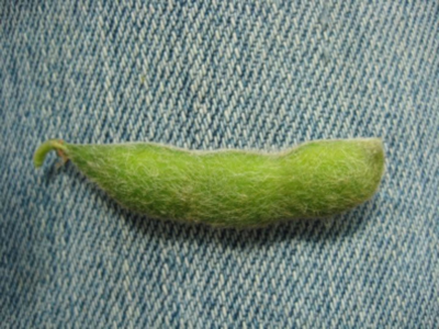 Figure 2. Soybean at R6 (first seed). Seeds filling the pod capacity in one pod at top 4 nodes.